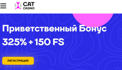 Поощрения в казино Cat